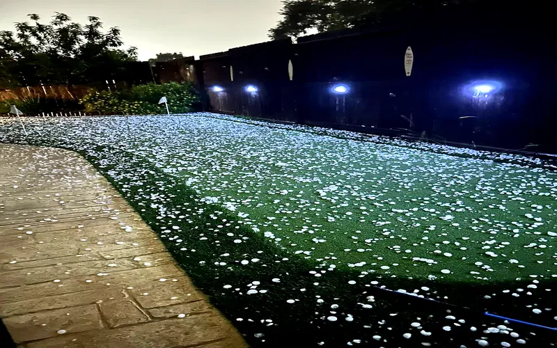Hailstones scattered over a residential lawn after a storm