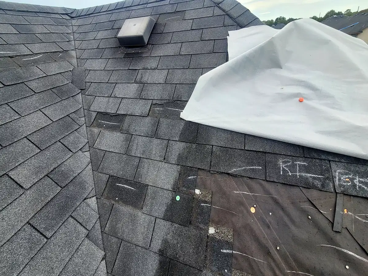 Temporary covering beside a repair area on an asphalt-shingle roof