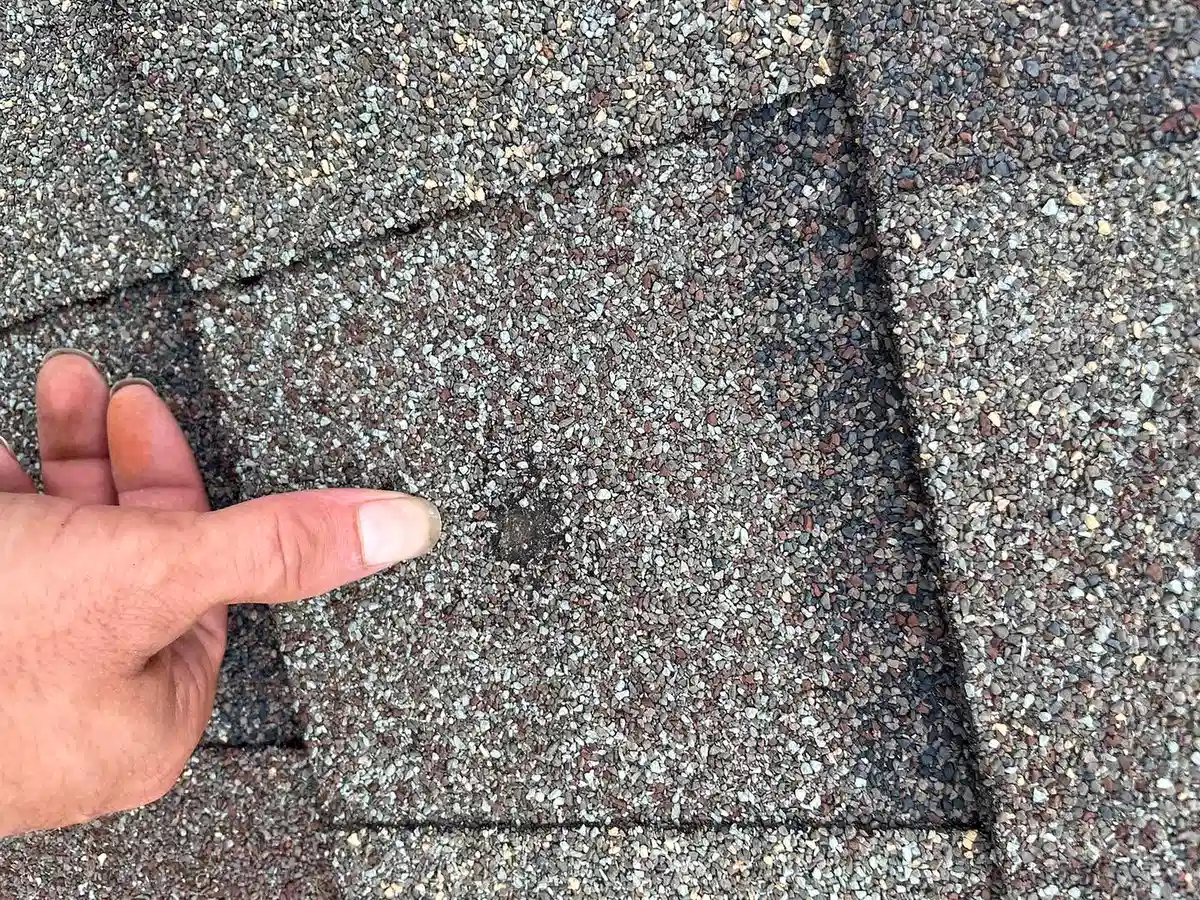 Close-up of a hand examining the surface of a roof shingle
