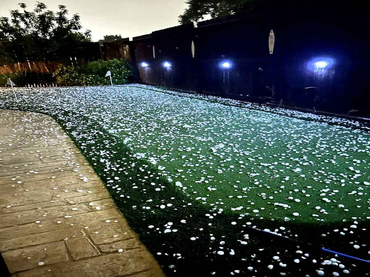 Hailstones covering a residential lawn after a storm